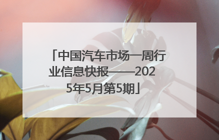中国汽车市场一周行业信息快报——2025年5月第5期