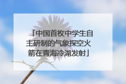 中国首枚中学生自主研制的气象探空火箭在青海冷湖发射