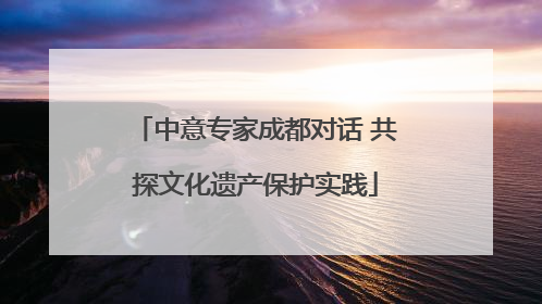 中意专家成都对话 共探文化遗产保护实践