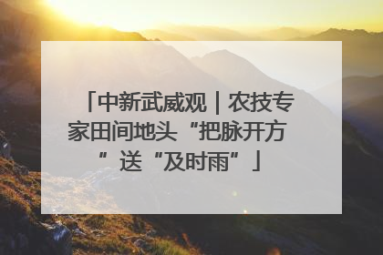 中新武威观｜农技专家田间地头“把脉开方”送“及时雨”
