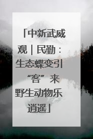 中新武威观｜民勤：生态蝶变引“客”来 野生动物乐逍遥