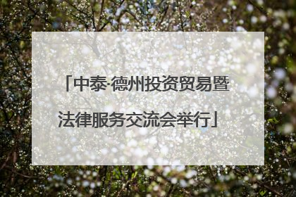 中泰·德州投资贸易暨法律服务交流会举行