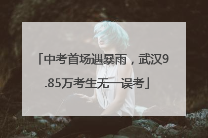中考首场遇暴雨，武汉9.85万考生无一误考
