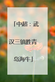 中超：武汉三镇胜青岛海牛