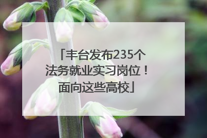 丰台发布235个法务就业实习岗位！面向这些高校