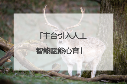 丰台引入人工智能赋能心育