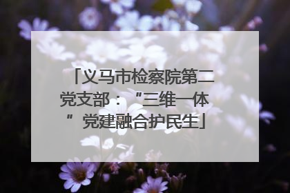 义马市检察院第二党支部：“三维一体”党建融合护民生