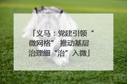 义马：党建引领“微网格” 推动基层治理细“治”入微