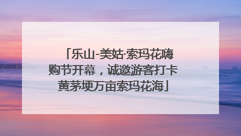 乐山-美姑·索玛花嗨购节开幕，诚邀游客打卡黄茅埂万亩索玛花海