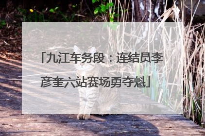 九江车务段：连结员李彦奎六站赛场勇夺魁
