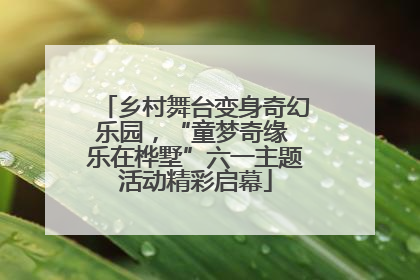 乡村舞台变身奇幻乐园，“童梦奇缘 乐在桦墅”六一主题活动精彩启幕