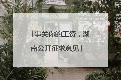 事关你的工资，湖南公开征求意见