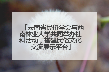 云南省民俗学会与西南林业大学共同举办社科活动，搭建民俗文化交流展示平台