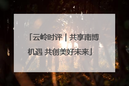 云岭时评｜共享南博机遇 共创美好未来