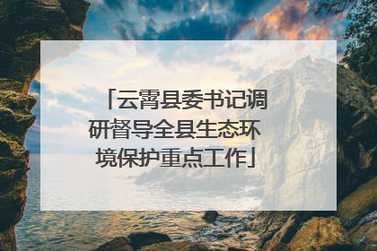 云霄县委书记调研督导全县生态环境保护重点工作