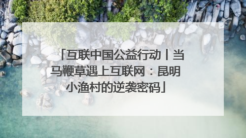 互联中国公益行动丨当马鞭草遇上互联网：昆明小渔村的逆袭密码
