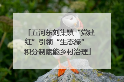 五河东刘集镇“党建红”引领“生态绿” 积分制赋能乡村治理