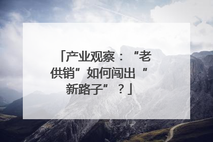 产业观察：“老供销”如何闯出“新路子”？