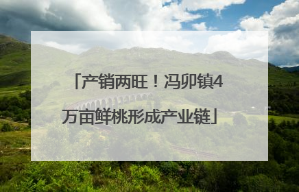 产销两旺！冯卯镇4万亩鲜桃形成产业链