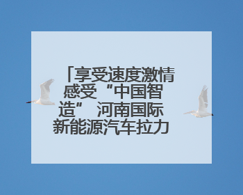 享受速度激情 感受“中国智造” 河南国际新能源汽车拉力赛8月启幕