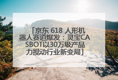 京东 618 人形机器人赛道爆发：灵宝CASBOT以30万级产品力搅动行业新变局