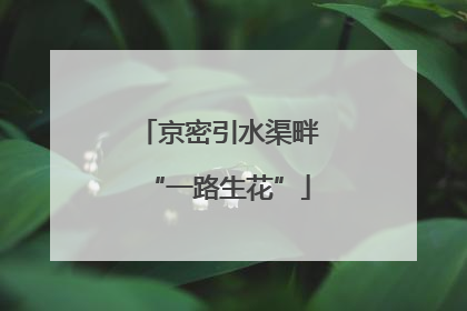 京密引水渠畔“一路生花”