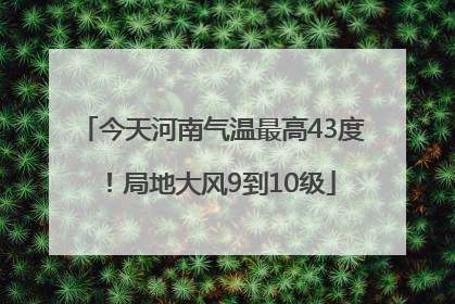 今天河南气温最高43度！局地大风9到10级