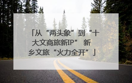 从“两头象”到“十大文商旅新IP” 新乡文旅“火力全开”