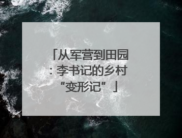 从军营到田园：李书记的乡村 “变形记”