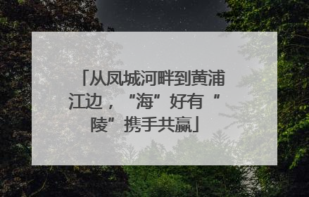 从凤城河畔到黄浦江边，“海”好有“陵”携手共赢