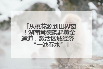 从桃花源到世界窗！湖南常德架起黄金通道，激活区域经济“一池春水”