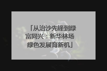 从治沙先锋到绿富同兴：新华林场绿色发展育新机