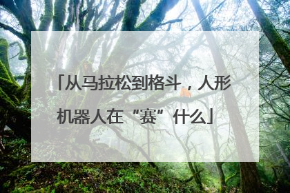 从马拉松到格斗，人形机器人在“赛”什么
