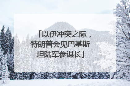 以伊冲突之际，特朗普会见巴基斯坦陆军参谋长