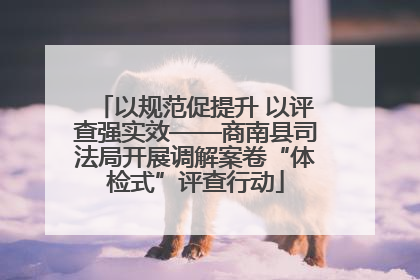以规范促提升 以评查强实效——商南县司法局开展调解案卷“体检式”评查行动