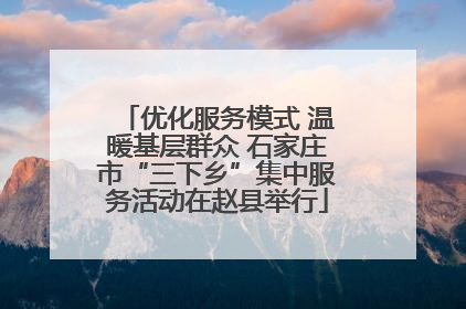 优化服务模式 温暖基层群众 石家庄市“三下乡”集中服务活动在赵县举行