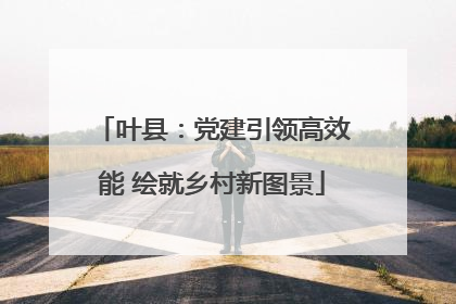 叶县：党建引领高效能 绘就乡村新图景