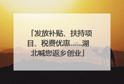 发放补贴、扶持项目、税费优惠……湖北喊您返乡创业