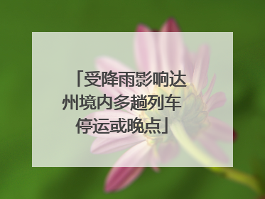 受降雨影响达州境内多趟列车停运或晚点