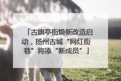 古旗亭街焕新改造启动，扬州古城“网红街巷”将添“新成员”