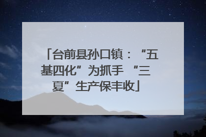 台前县孙口镇：“五基四化”为抓手 “三夏”生产保丰收