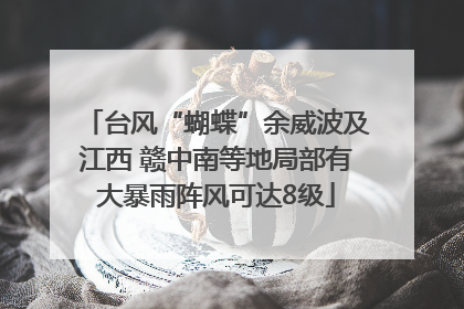台风“蝴蝶”余威波及江西 赣中南等地局部有大暴雨阵风可达8级