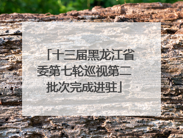 十三届黑龙江省委第七轮巡视第二批次完成进驻