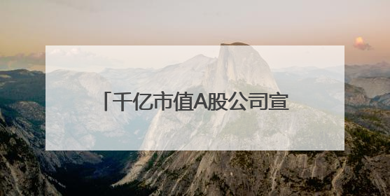 千亿市值A股公司宣布：续聘雷军为名誉董事长，不领取薪酬！