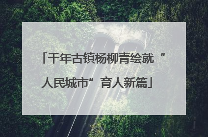 千年古镇杨柳青绘就“人民城市”育人新篇