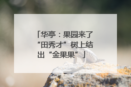 华亭：果园来了“田秀才”树上结出“金果果”