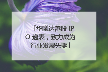 华曦达港股 IPO 递表，致力成为行业发展先驱