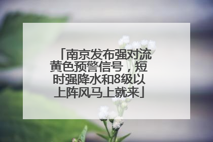 南京发布强对流黄色预警信号，短时强降水和8级以上阵风马上就来