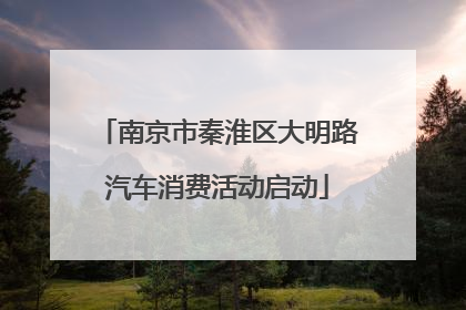 南京市秦淮区大明路汽车消费活动启动