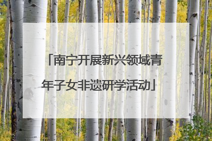 南宁开展新兴领域青年子女非遗研学活动